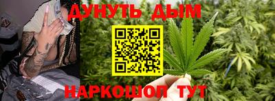крисы Ирбит