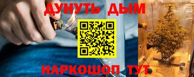 крисы Ирбит