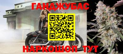 мяу мяу мука Аргун