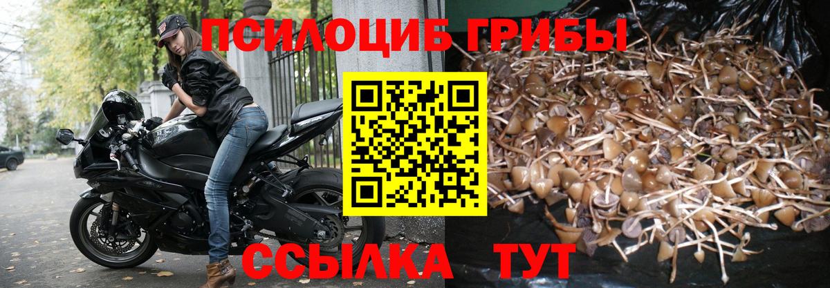 Галлюциногенные грибы Cubensis  Луховицы  Псилоцибиновые грибы мицелий 