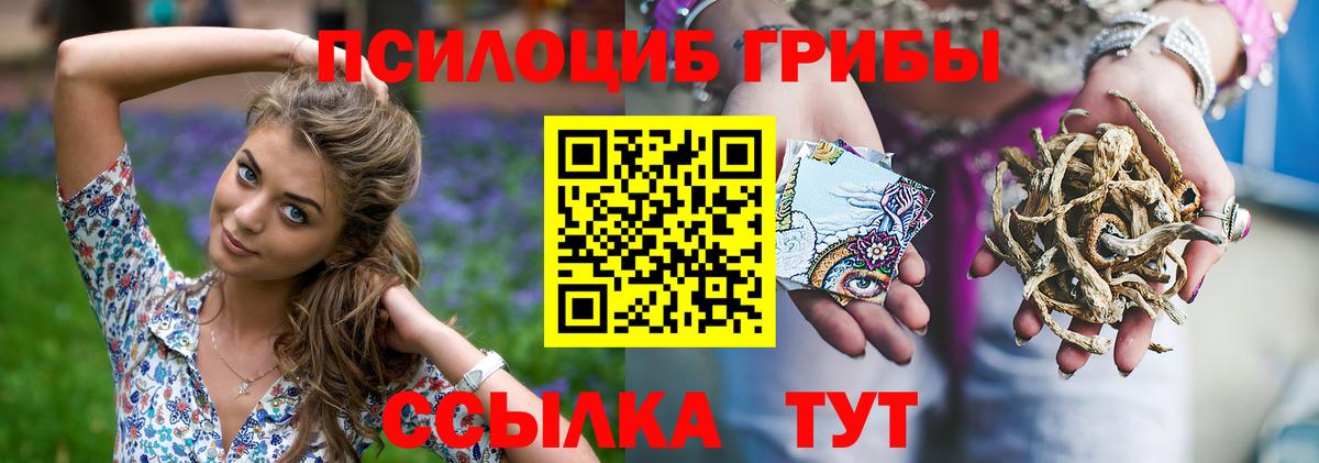 Галлюциногенные грибы MAGIC MUSHROOMS  Вход с VPN  Луховицы 