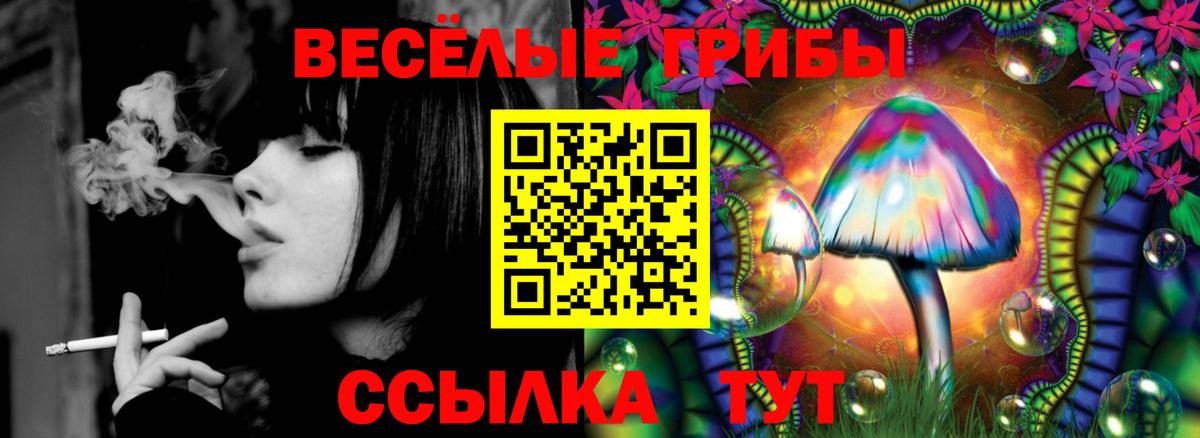 Псилоцибиновые грибы MAGIC MUSHROOMS Луховицы